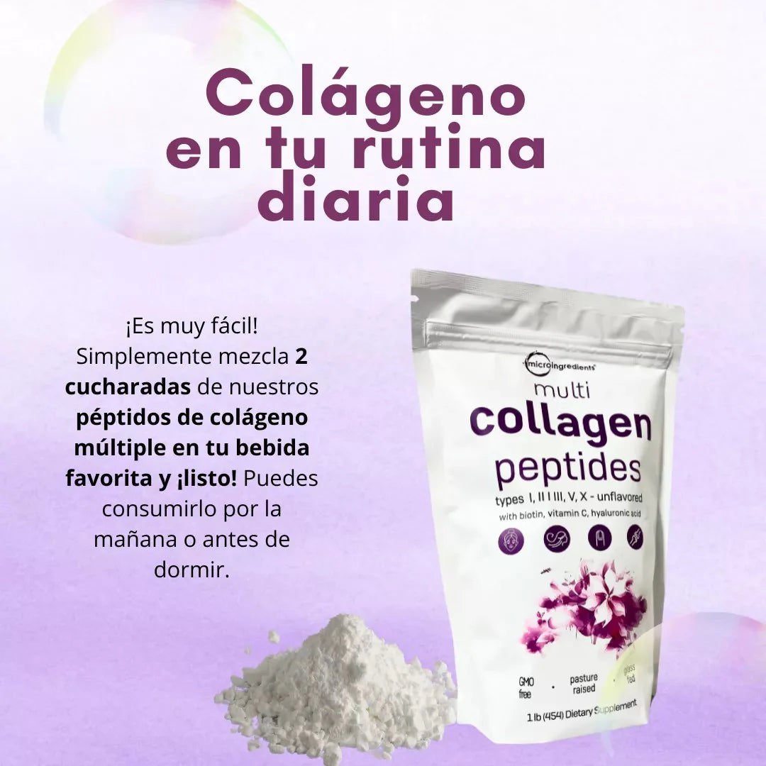 Encabezado
